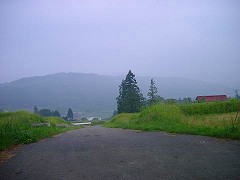 自転車１１６６