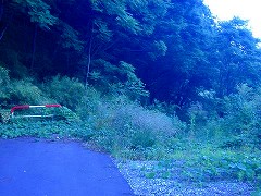 自転車１１７８