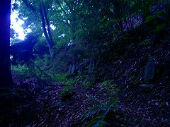 自転車１１８５