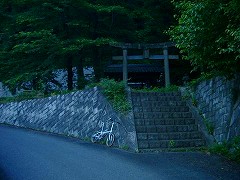 自転車１１７７