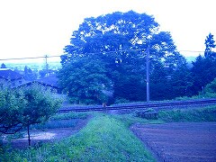 自転車１１７９