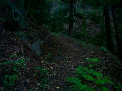 自転車１１８４