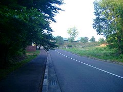 自転車１１８６