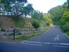 自転車１１８７