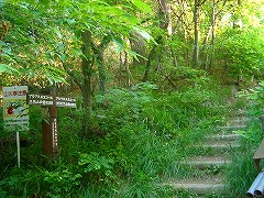 自転車１１９２