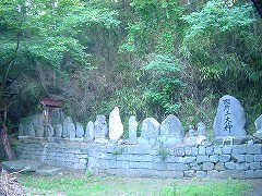 自転車１１９４