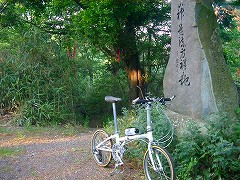 自転車１１９５