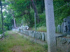 自転車１１９６