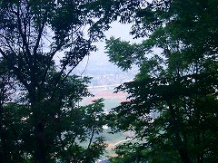 自転車１１９８