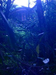 自転車１１９９