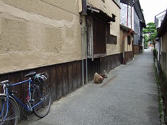 常法寺小路。素敵です。愛してるといっても過言ではない。