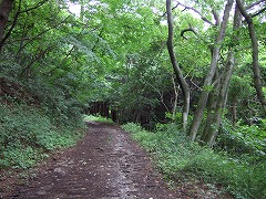 このころになると、道は未舗装。ぬかるみだらけで走りにくい。