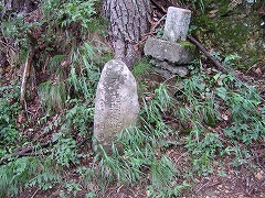 峠は近い…か！？