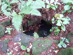 井戸の跡。水は澄んでいた。