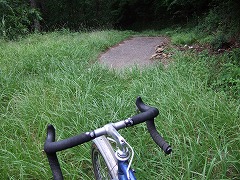 お！やっと舗装路！？