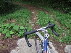 …と思ったらフェイクです。