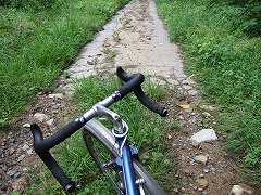 今度こそ舗装路。