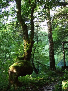 オブジェのよう