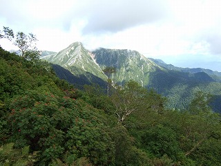 ナナカマドはまだですよ