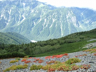 草紅葉の眼下にも山