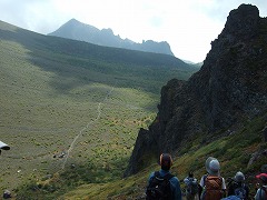 思わず見とれる