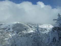 山頂からの眺め