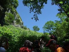 オアシスからの眺め