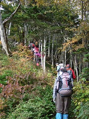 アップダウンのアップ