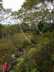 心地よい道もある