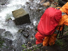 はしごを降りる