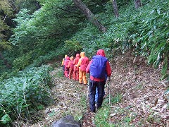 良く整備された登山道