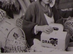 ダンボール箱出始め