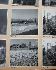 アルバムの中から