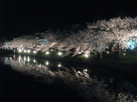 24.4.21旧開智・松本城 9501