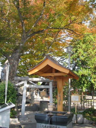 松本神社2013・11.2