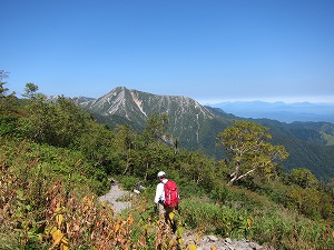 分岐近くから常念を眺める