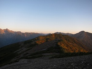初めて見る表情