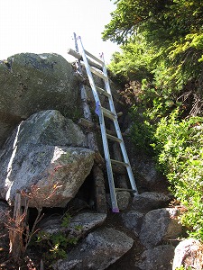 アルミのハシゴ