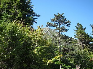 前常念がはるか頭上に