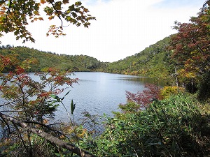 池の北西を見る