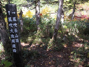 風吹岳分岐