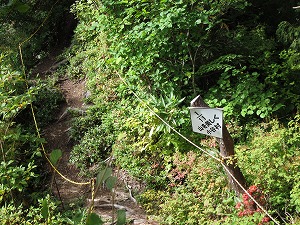 やせ尾根　トラロープあり