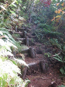 風吹岳への登山道