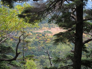 正面にベージュ色のものが
