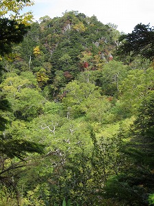 この眺めは良かった
