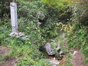 血ノ池・神ノ田圃分岐