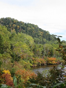 傾斜手前くらい