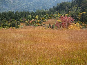 見つけてしまった宝物