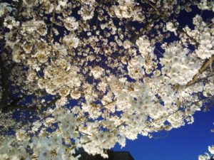 IMG_20140414_185432980