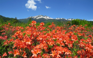 昨年6/17一ノ瀬奥